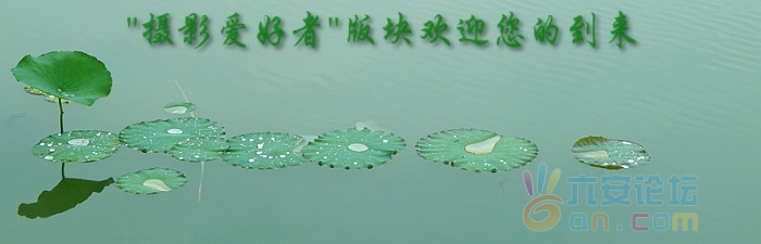 欢迎.jpg