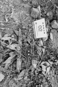 201108041502404612.jpg
