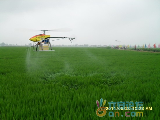 201108210900590238.jpg