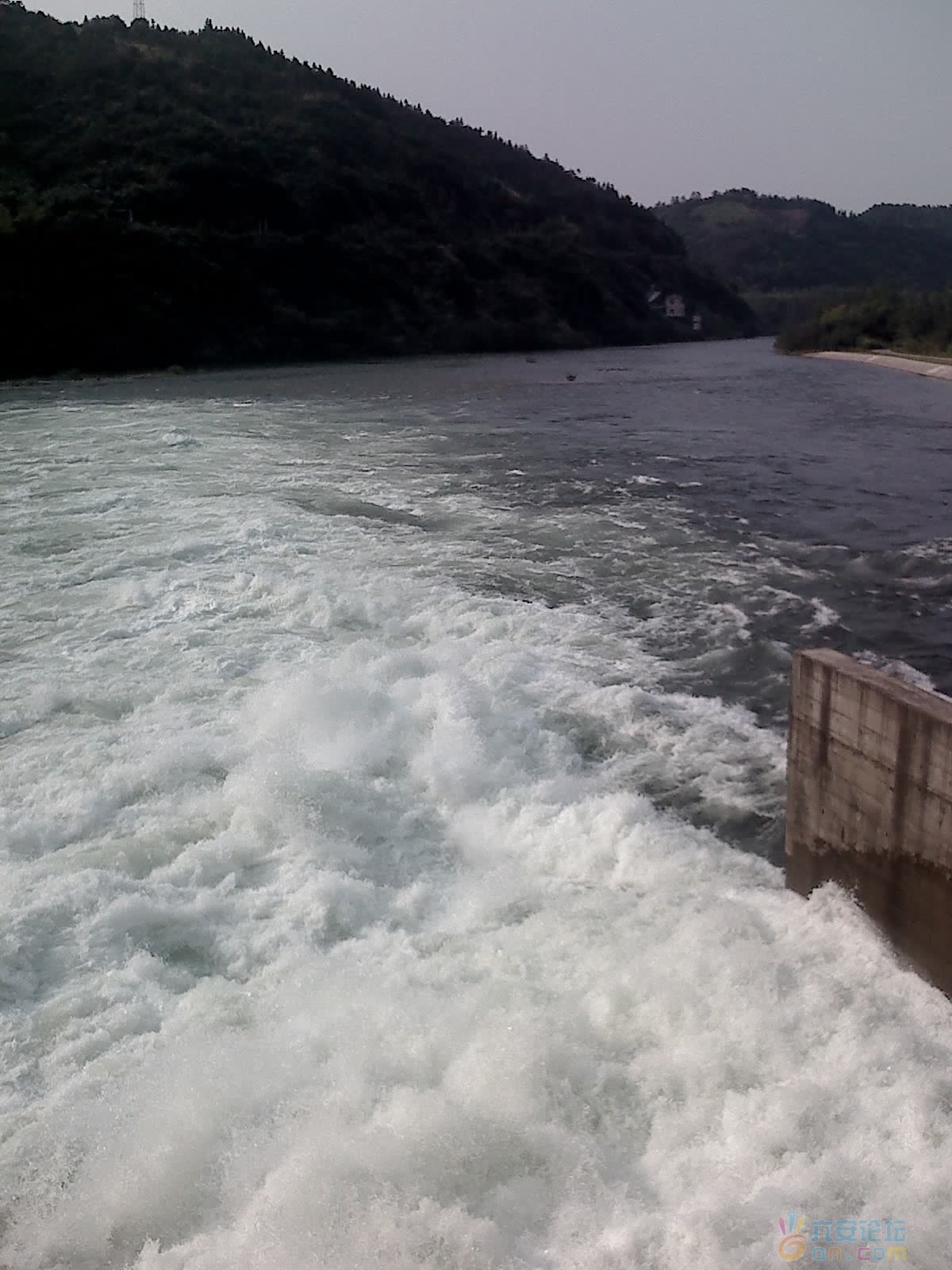 2011-8-18-00010.jpg