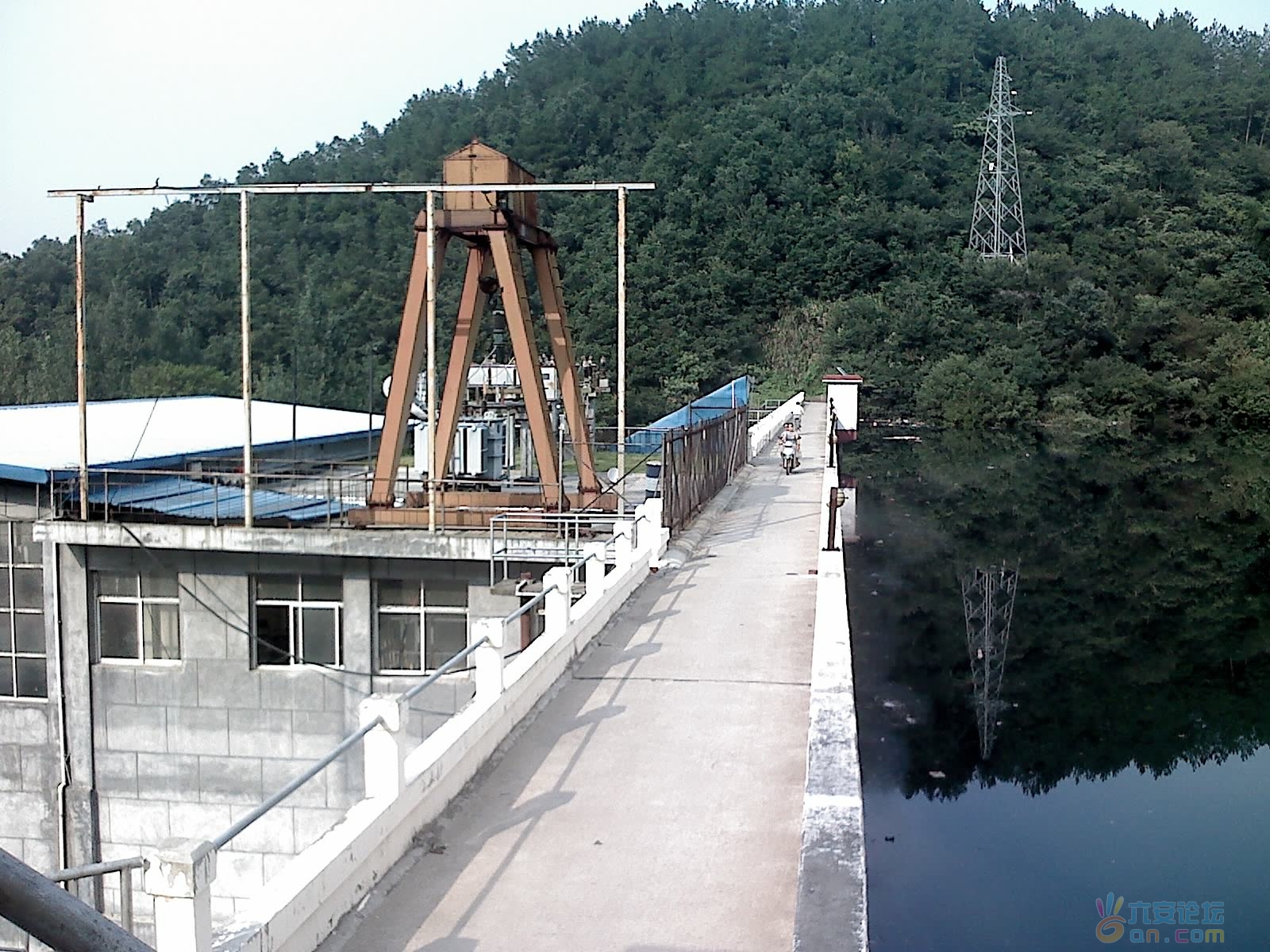 2011-8-18-00012.jpg