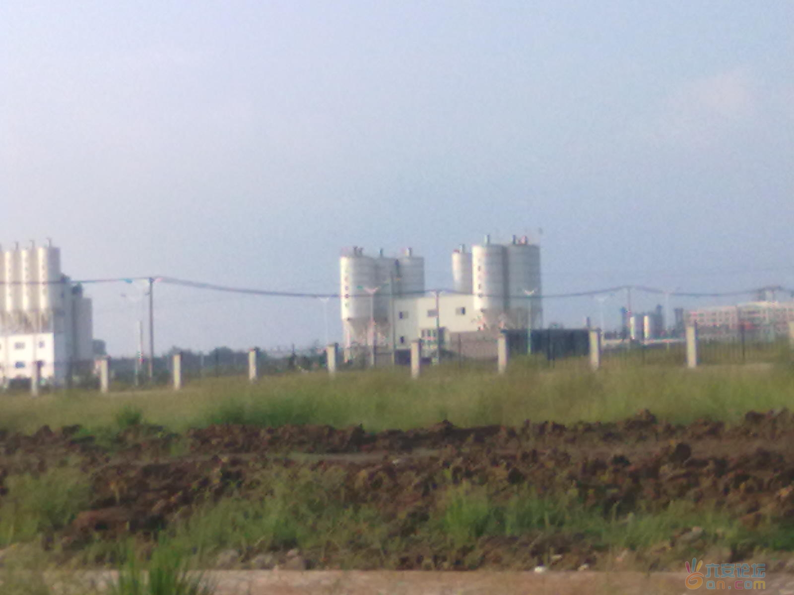 20110824443.jpg