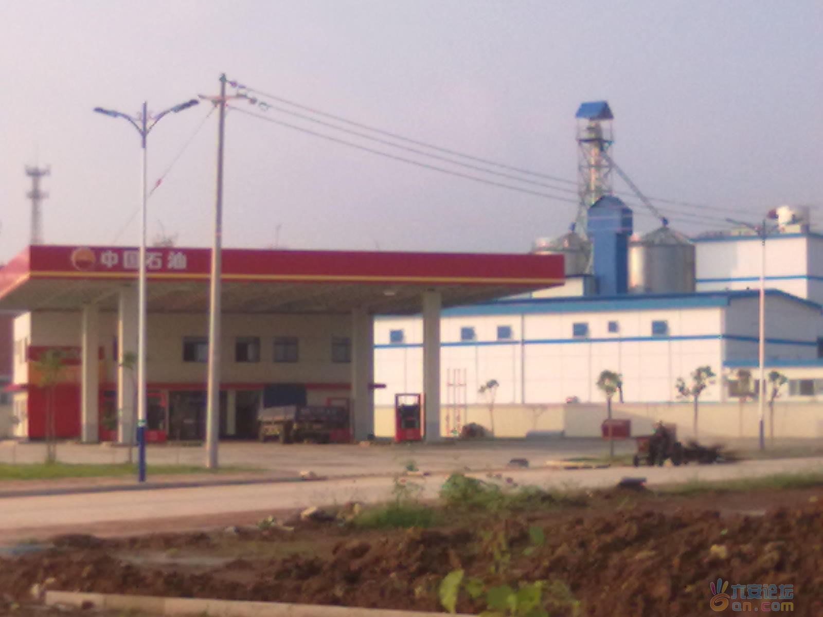 20110824448.jpg