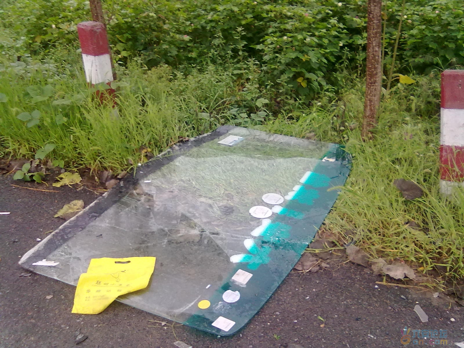 20110825455.jpg