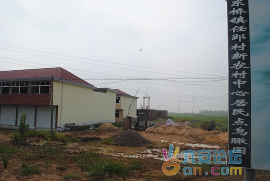 201108290844361291.jpg