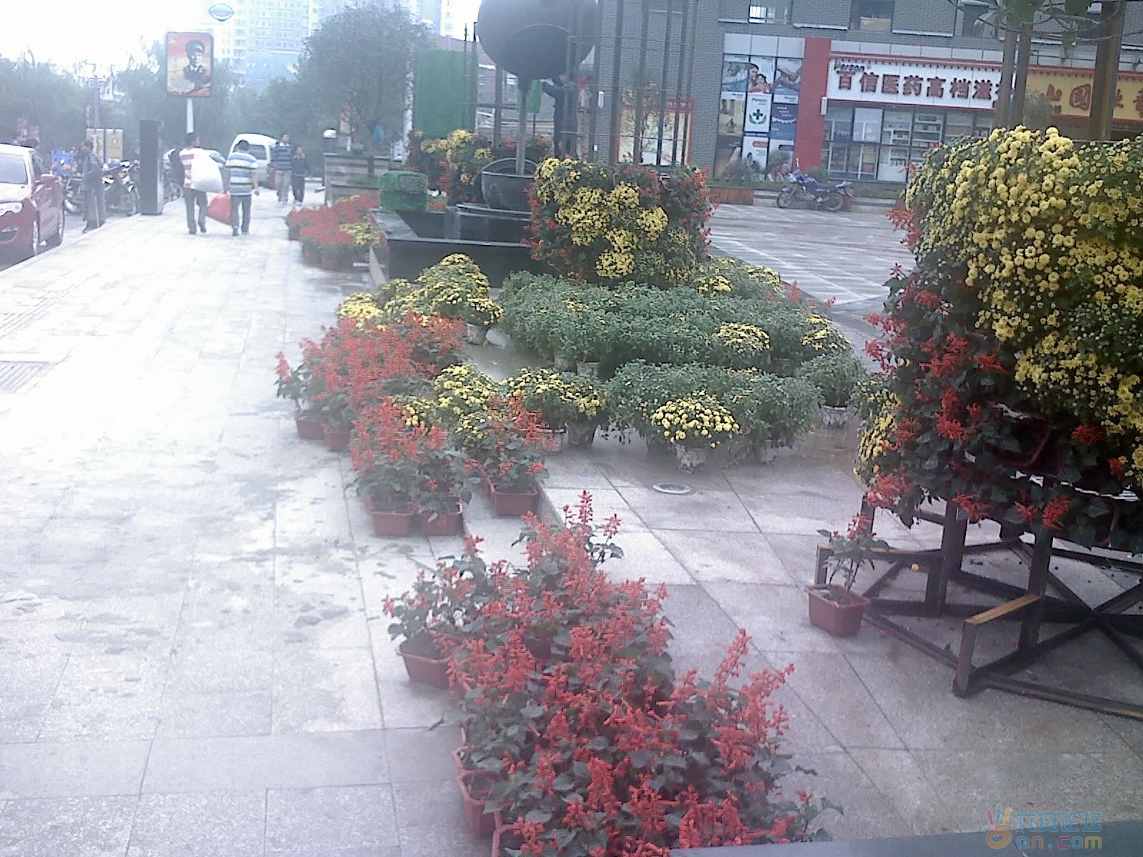 2011-9-10-00008.jpg