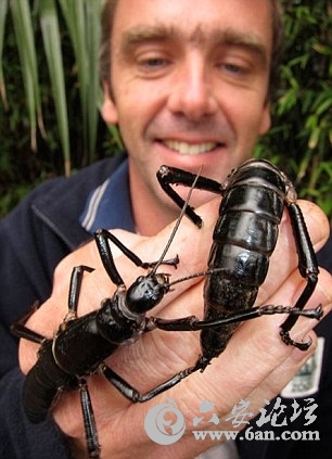 201232142617.jpg