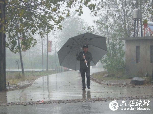 雨中漫步