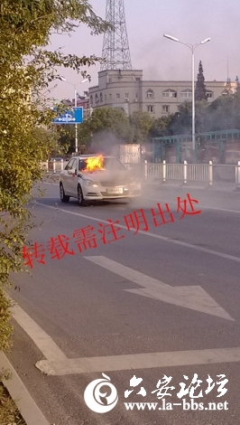 IMG_20121114_155226_副本.jpg
