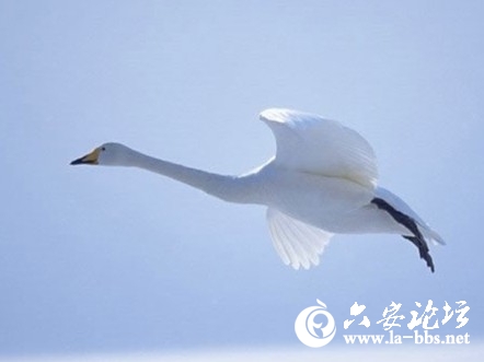 QQ截图20121116075852.jpg