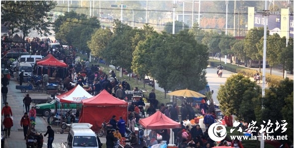 QQ截图20121116081445.jpg