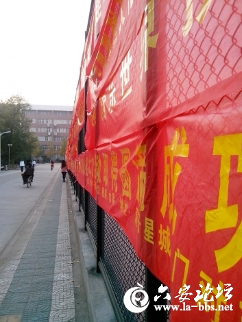 IMG_20121115_073306.jpg
