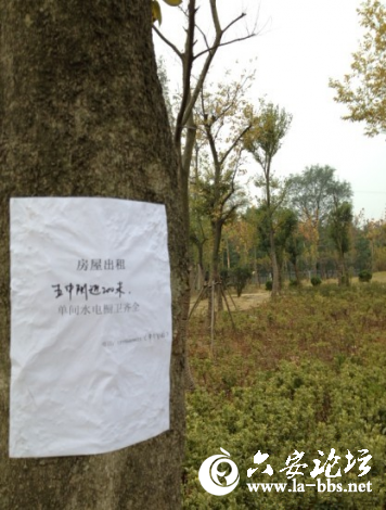 招租_副本.png