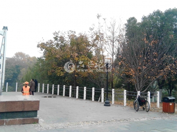 IMG_20121120_131810.jpg