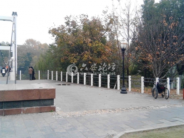 IMG_20121120_131833.jpg