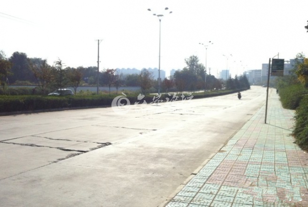 道路_副本.png