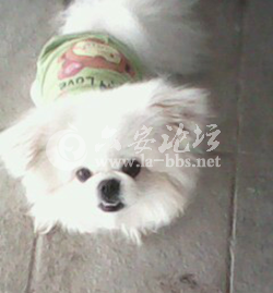 QQ截图20121123135353.png