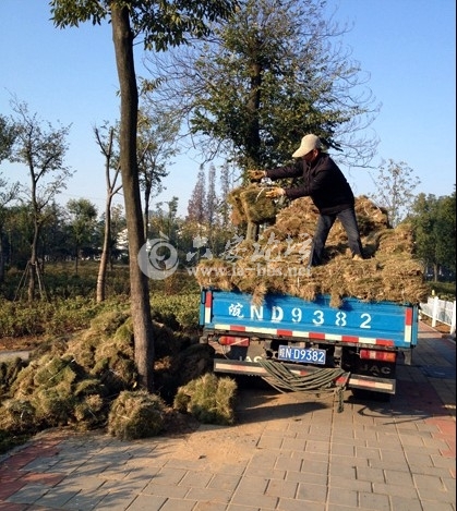 QQ截图20121129072848.jpg