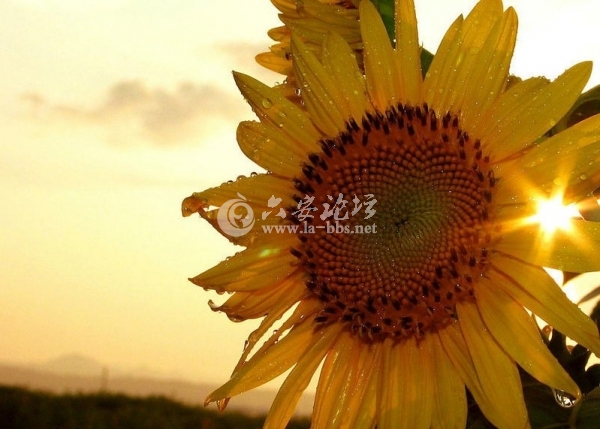 QQ截图20121116101936.jpg