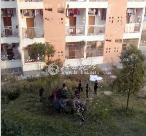 QQ截图20121205105133.jpg