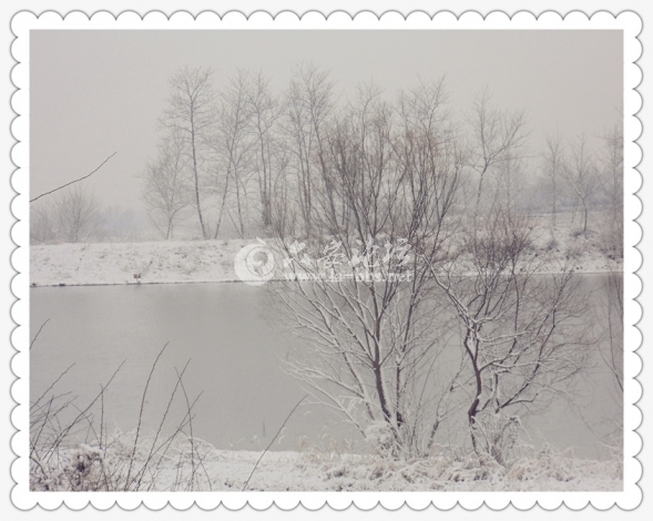 DSC00830_副本.jpg