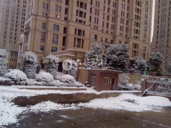 IMG_20121226_083121.jpg