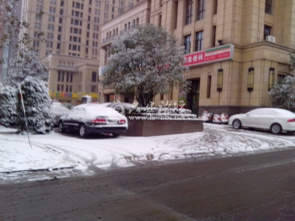 IMG_20121226_083153.jpg