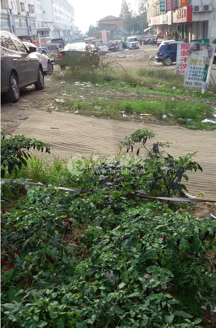QQ截图20141013084418.png