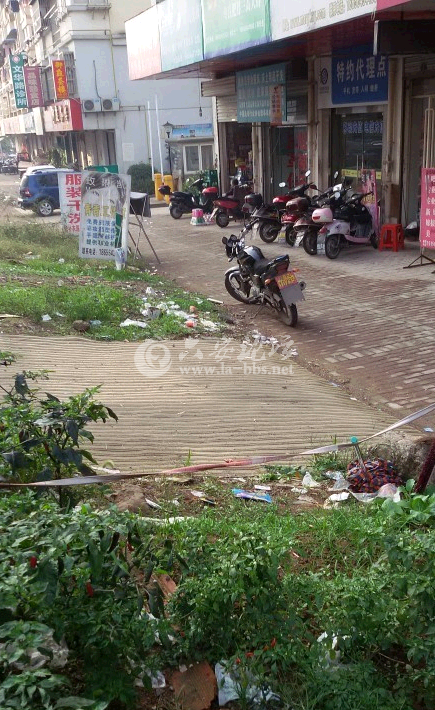 QQ截图20141013084407.png