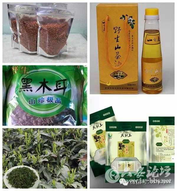 山珍.jpg