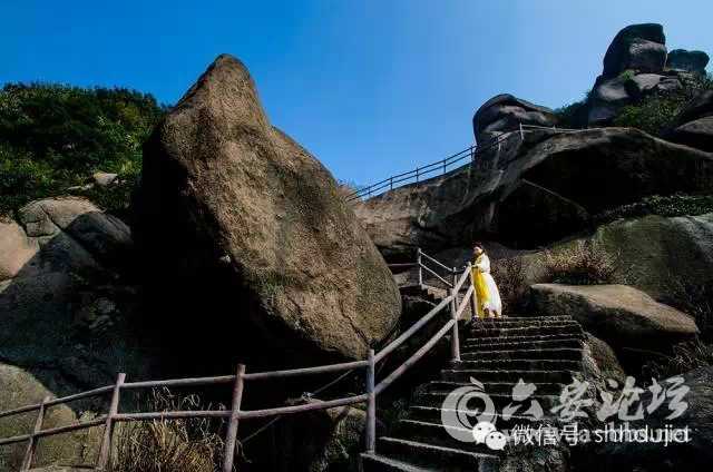 浪漫情人节献礼父母亲