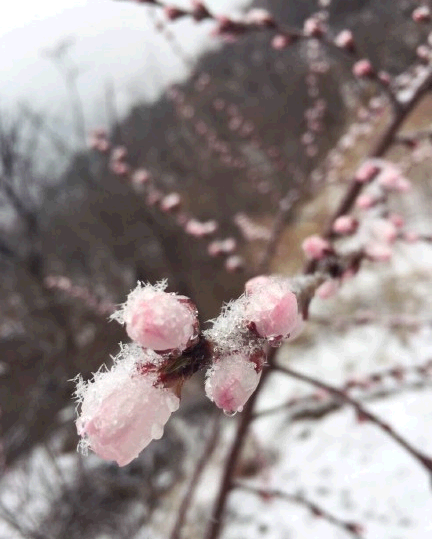 QQ截图20150323155355.png