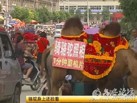 QQ截图20150910075440.png