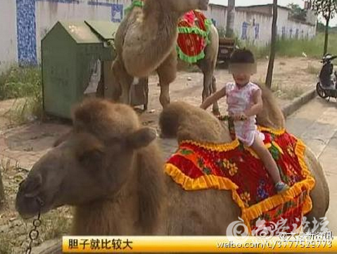 QQ截图20150910075526.png