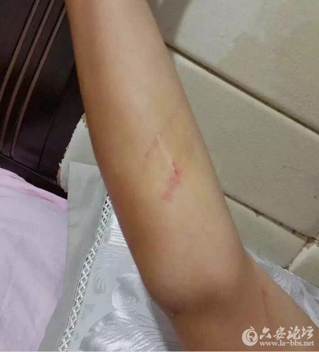 QQ截图20150925080031.png