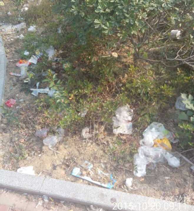 QQ截图20151020094911.jpg