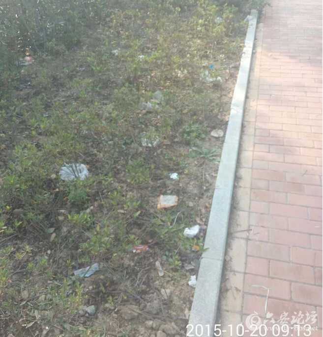 QQ截图20151020095006.jpg