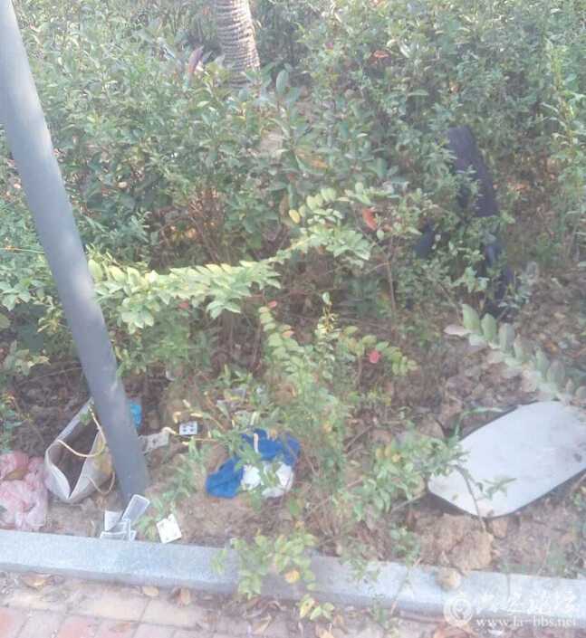 QQ截图20151020095051.jpg