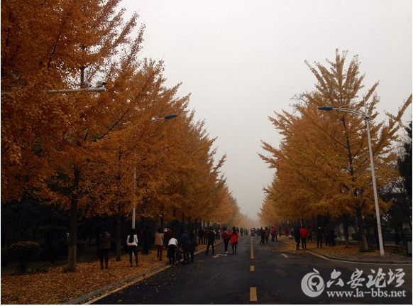QQ截图20151122085426.png