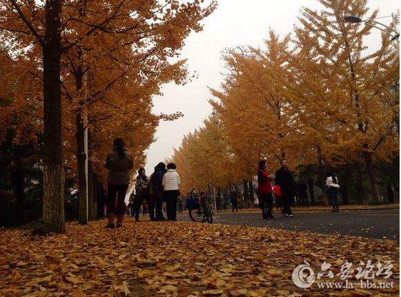QQ截图20151122085419.png