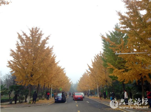 QQ截图20151122085432.png