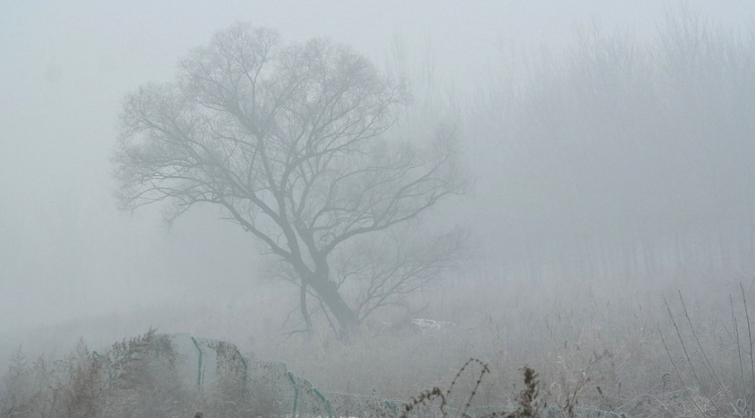 QQ截图20151201101100.png