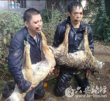 QQ截图20151213140248.png