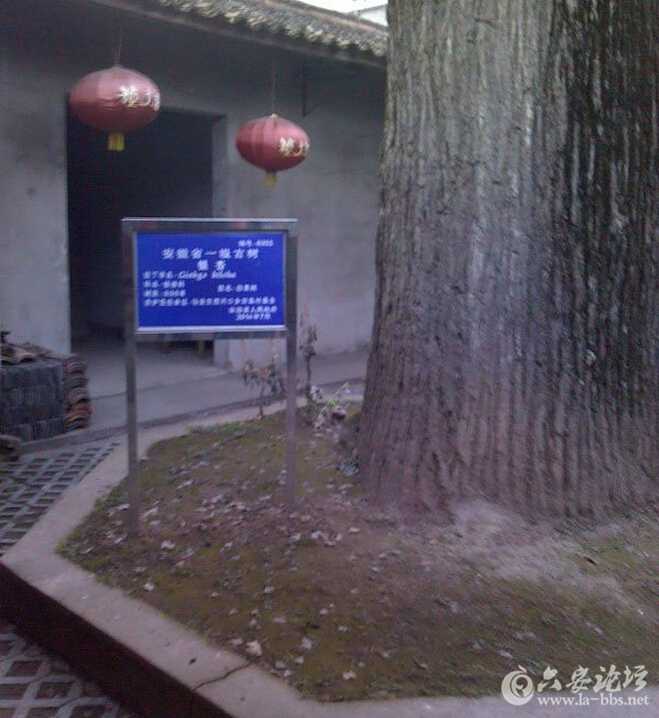 QQ截图20160104113751.jpg