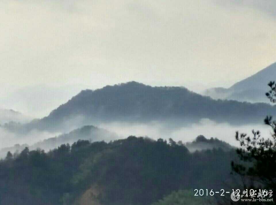 1455493222345.jpg