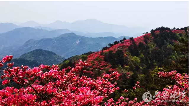 QQ截图20160220090518.png