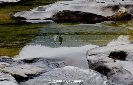 QQ截图20160227082638.jpg