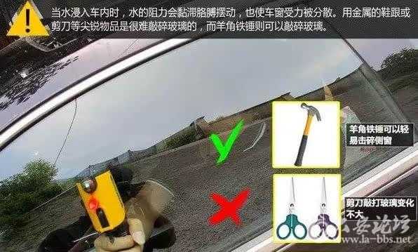 43955ad4713b6dd1fdb05108a1623c5a.jpg
