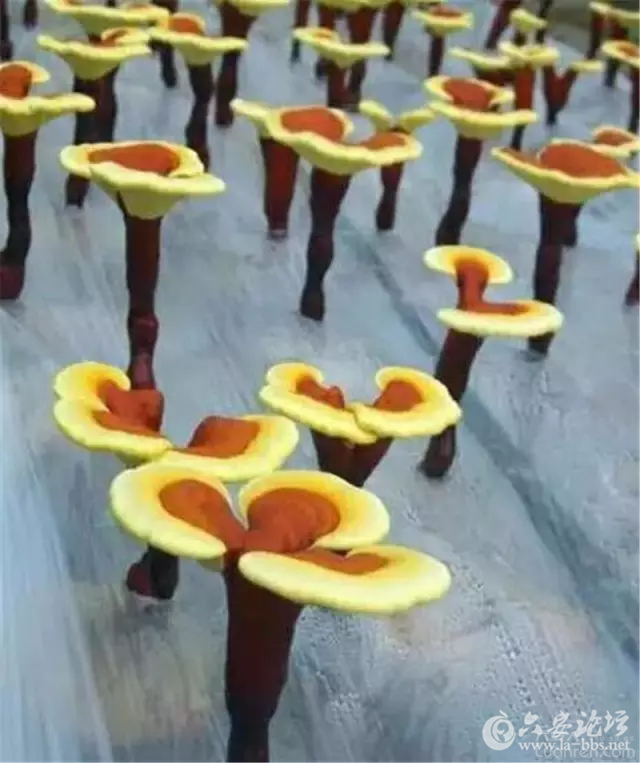 13.png