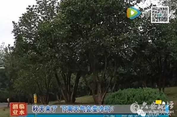 QQ截图20160918143041.jpg